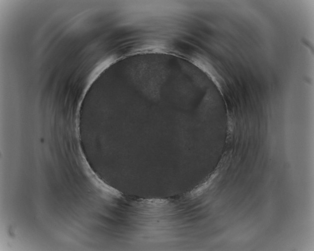 X0000098131090200804241643