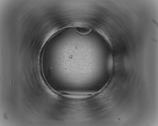 X0000098131091200804241643
