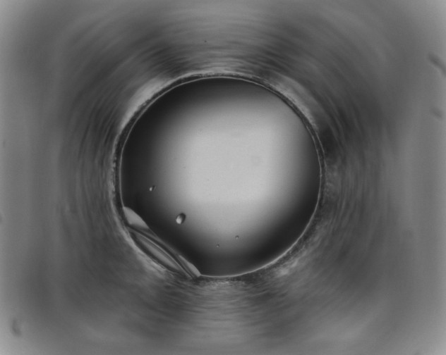 X0000098131093200804241643