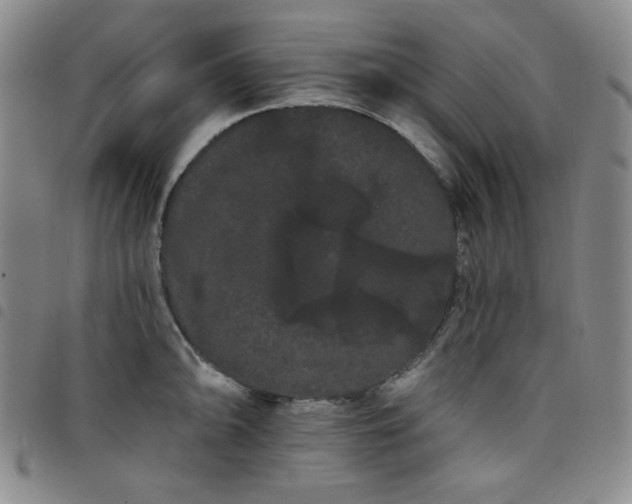 X0000098131094200804241643