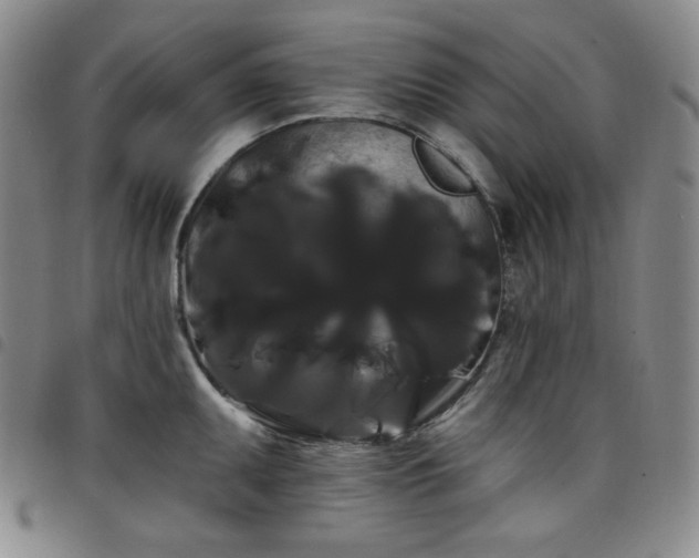 X0000098131095200804241643