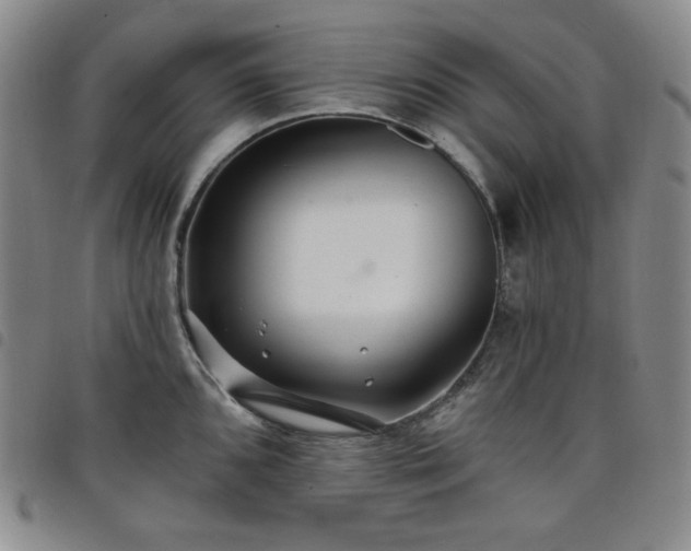 X0000098131096200804241643