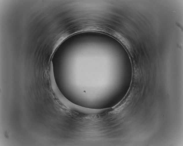 X0000098131097200804241643