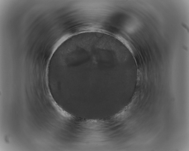X0000098131098200804241643