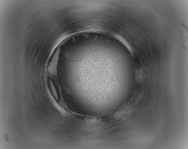 X0000098131099200804241643