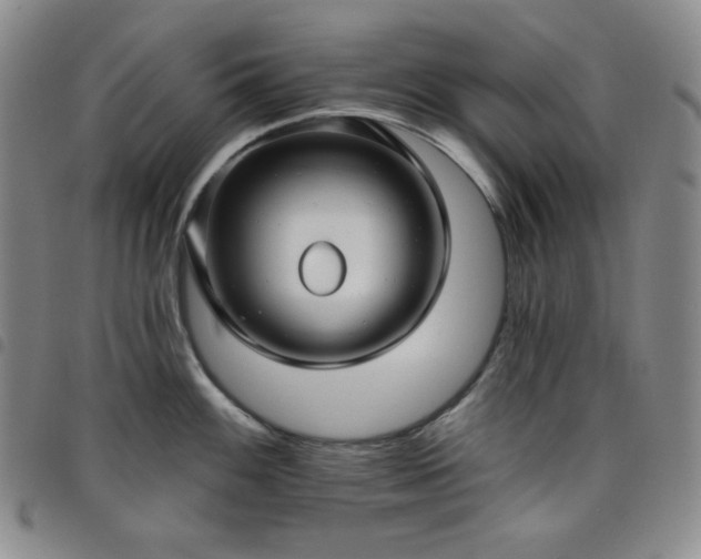 X0000098131100200804241643