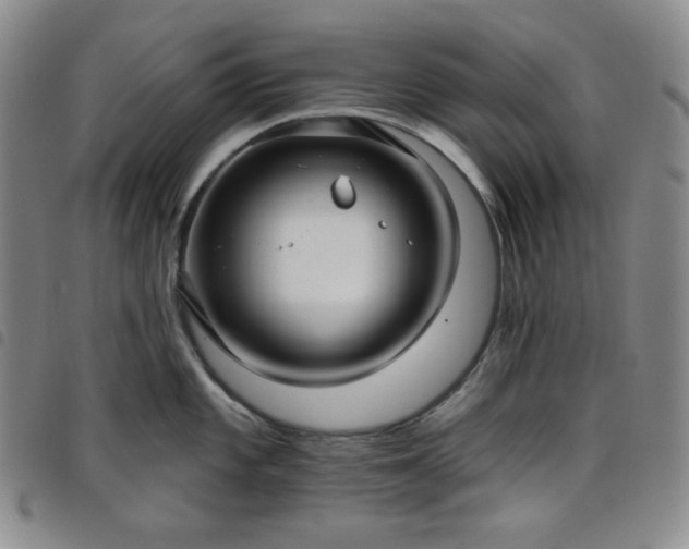 X0000098131101200804241643
