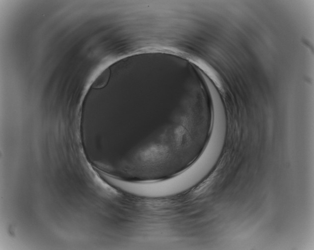 X0000098131102200804241643