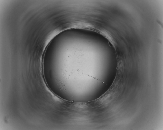 X0000098131103200804241643