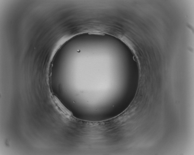 X0000098131104200804241643