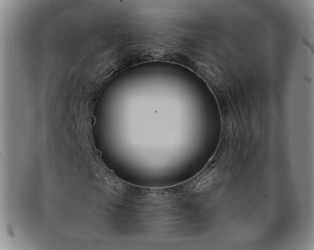 X0000098131105200804241642