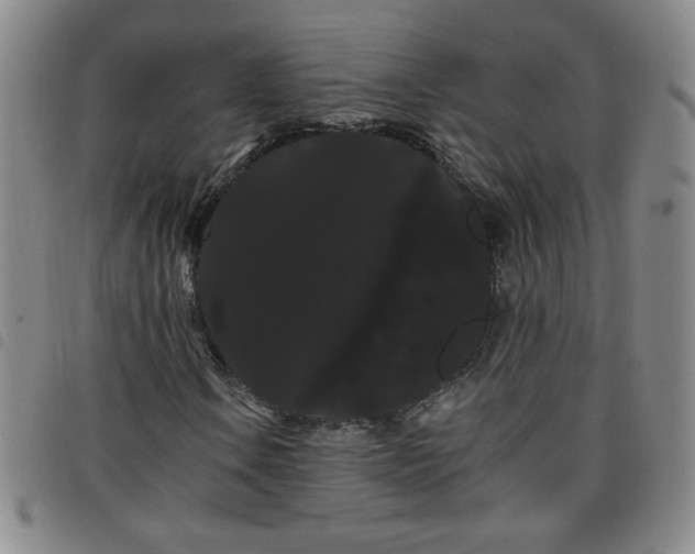 X0000098131106200804241642