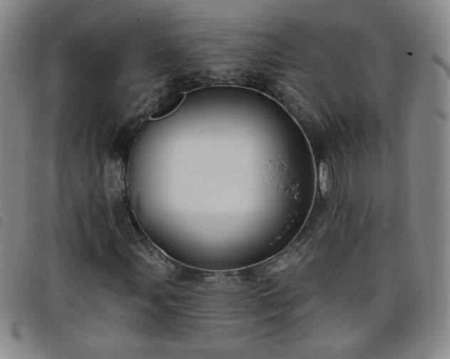 X0000098131107200804241642