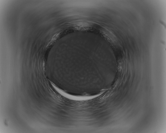 X0000098131108200804241642