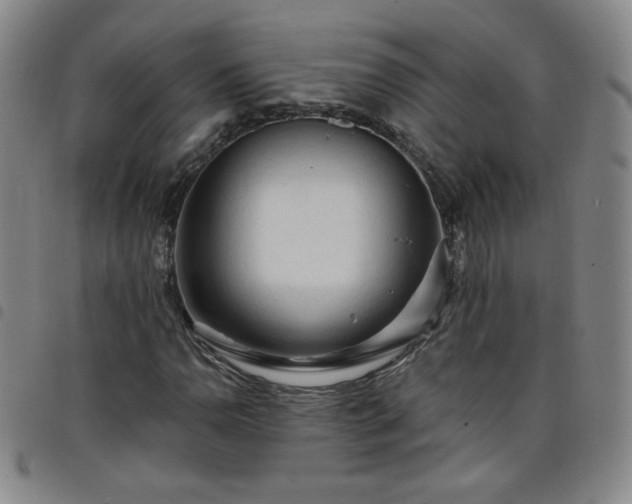 X0000098131110200804241643