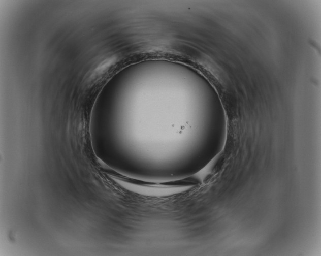 X0000098131111200804241643