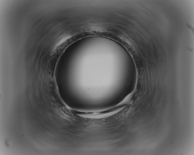 X0000098131112200804241643