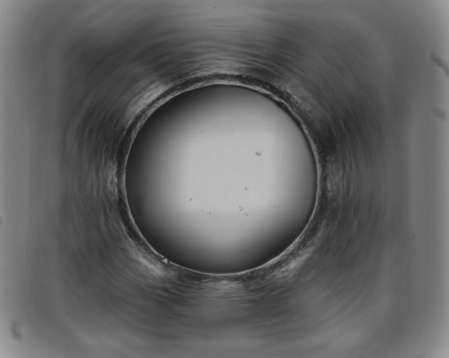X0000098131113200804241643