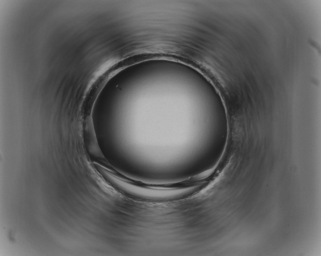 X0000098131114200804241643