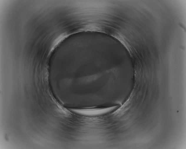 X0000098131115200804241643