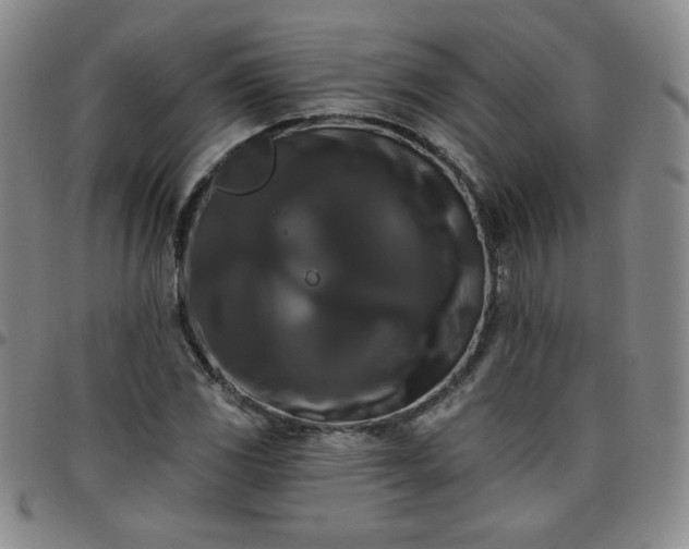 X0000098131117200804241643