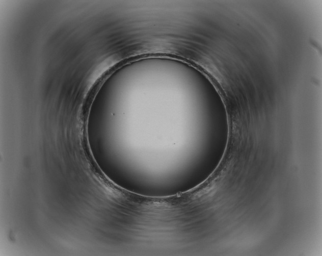 X0000098131119200804241643