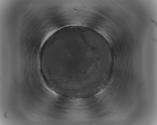 X0000098131120200804241643