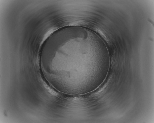 X0000098131122200804241643