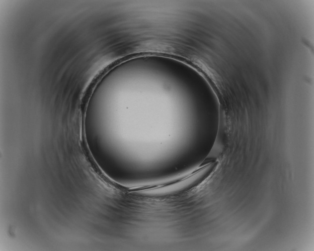 X0000098131123200804241643