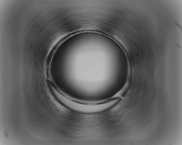 X0000098131124200804241643