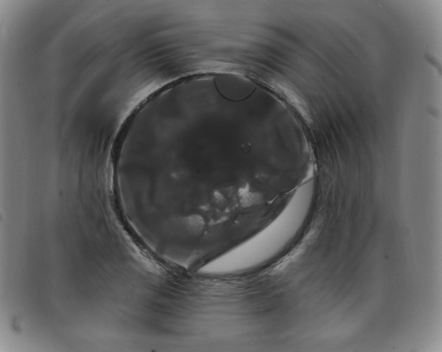 X0000098131125200804241643