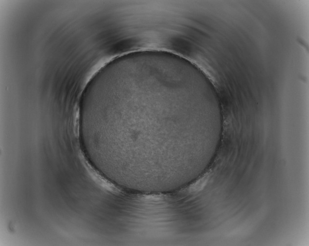 X0000098131126200804241643