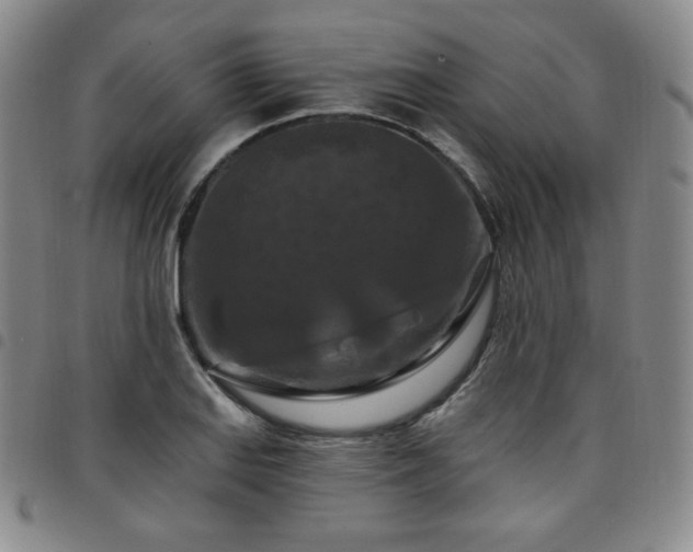 X0000098131127200804241643