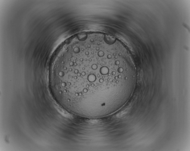 X0000098131130200804241643