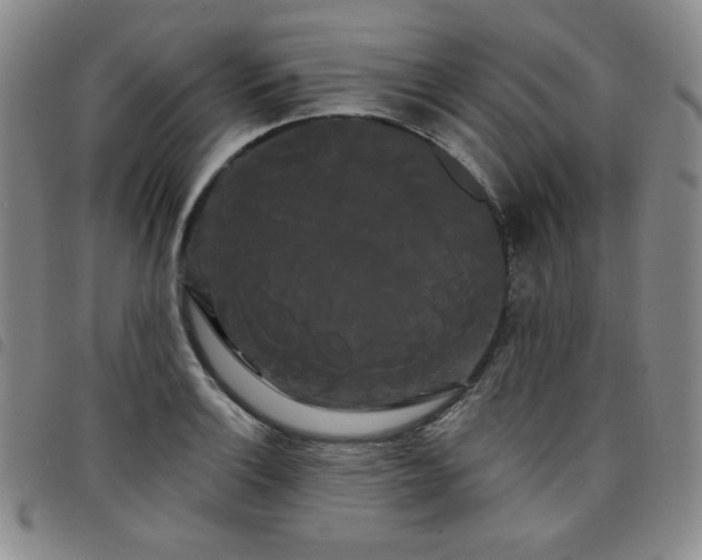 X0000098131132200804241643