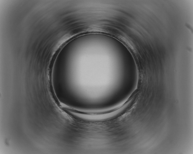 X0000098131133200804241643