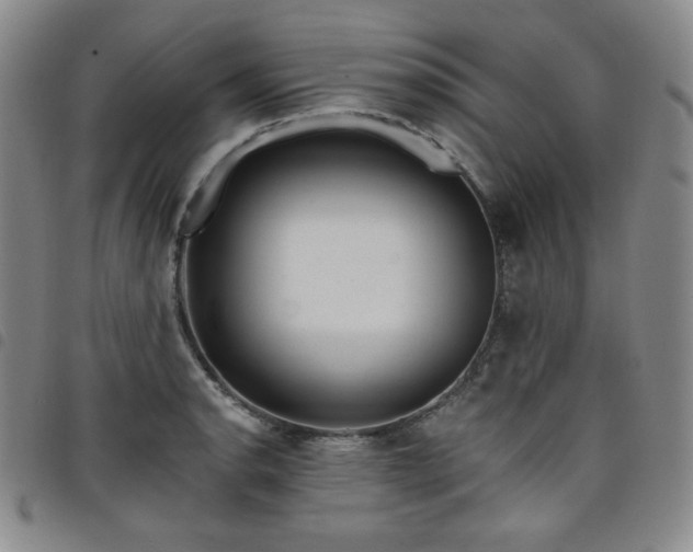 X0000098131134200804241643