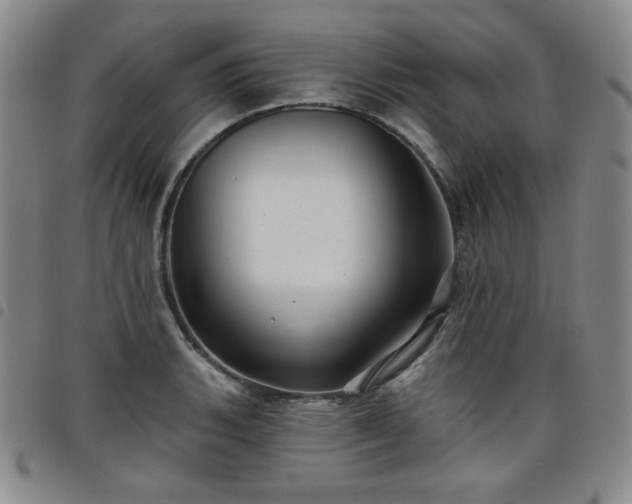 X0000098131135200804241643