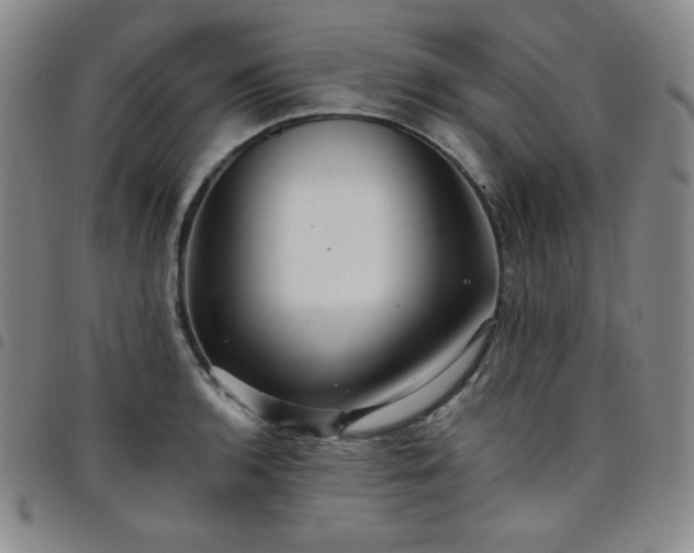 X0000098131136200804241643
