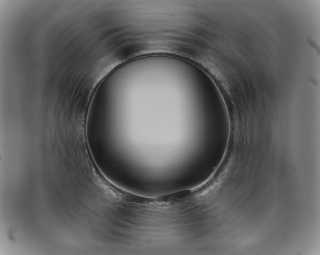 X0000098131137200804241643