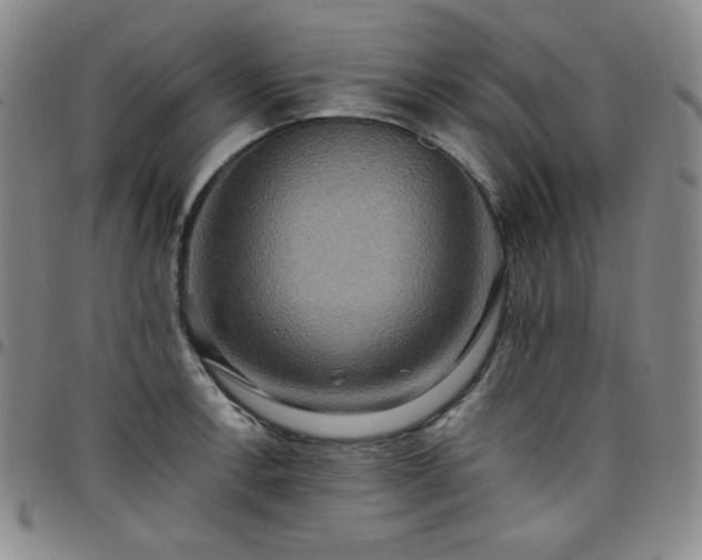 X0000098131138200804241643