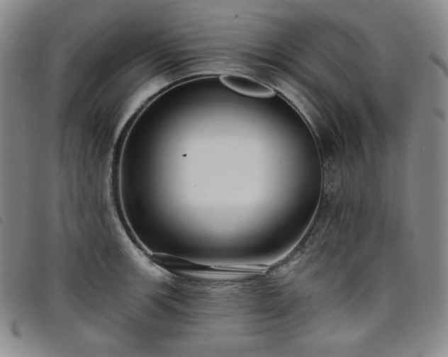X0000098131139200804241643