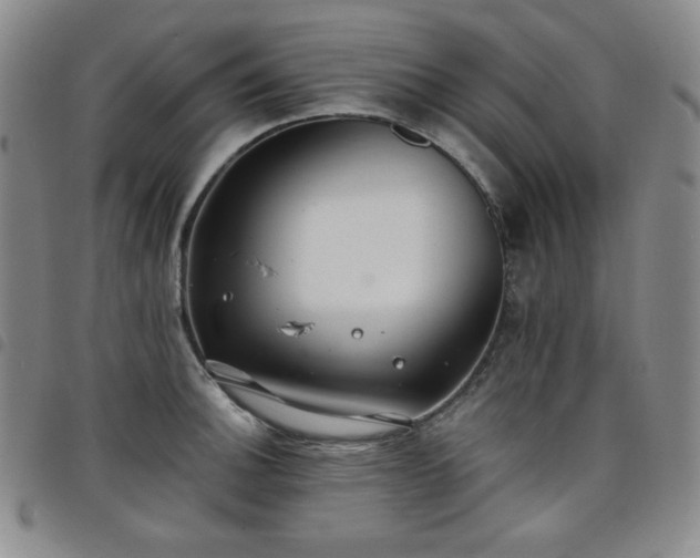 X0000098131140200804241643