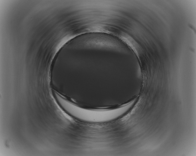 X0000098131141200804241643