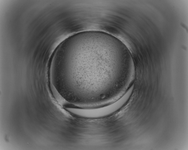 X0000098131142200804241643