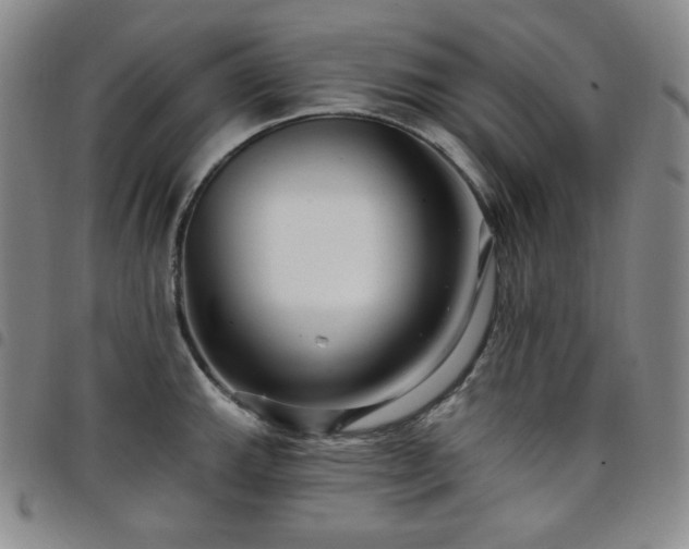 X0000098131143200804241643