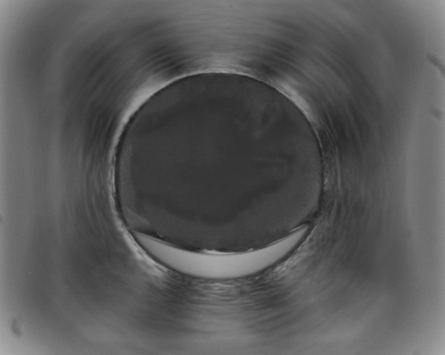 X0000098131144200804241643