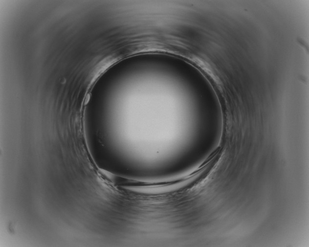 X0000098131145200804241643