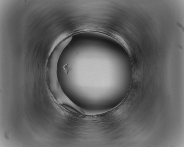 X0000098131146200804241643