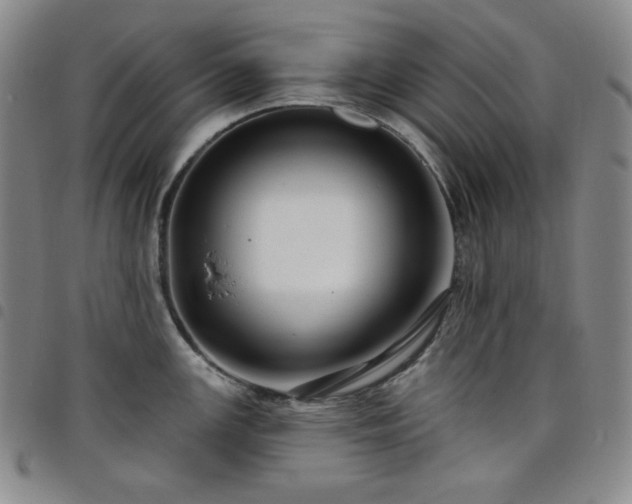 X0000098131147200804241643